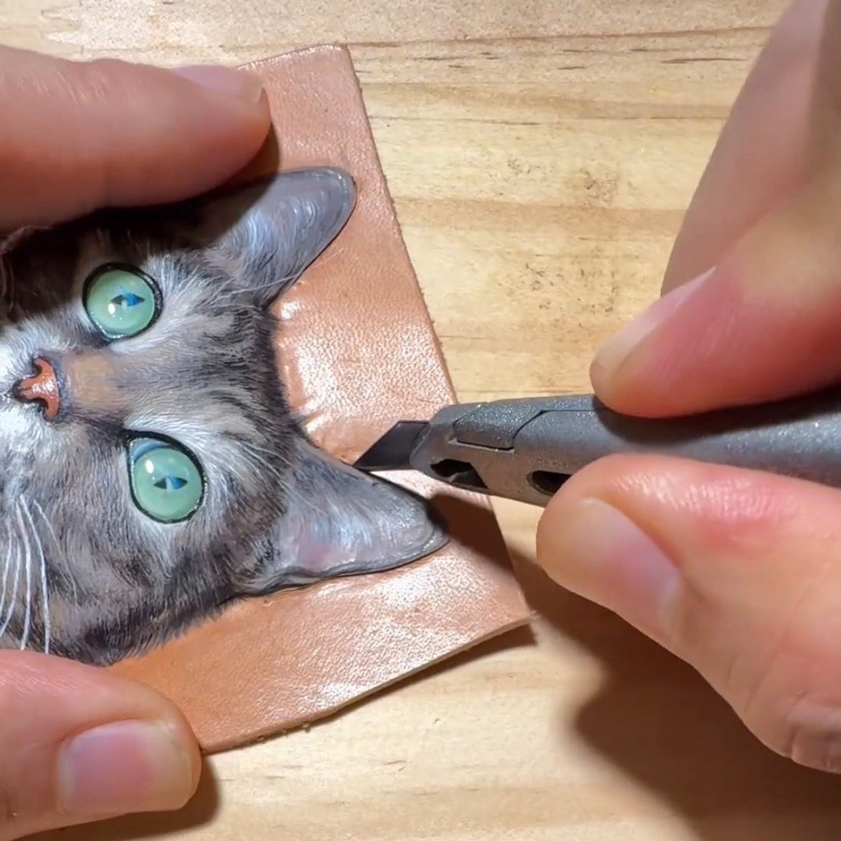 Pet tag
